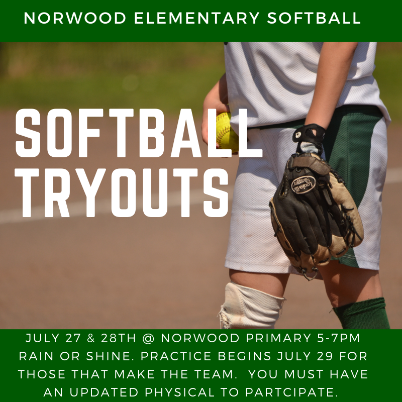 softball tryout banner 